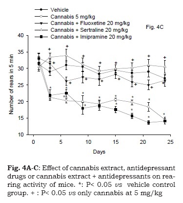 Cannabis Sativa Monograph Pdf File