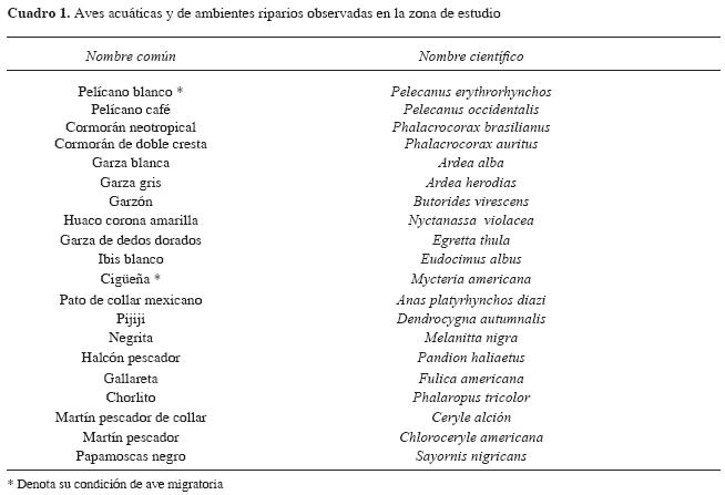 cadena alimenticia. cadena alimenticia.