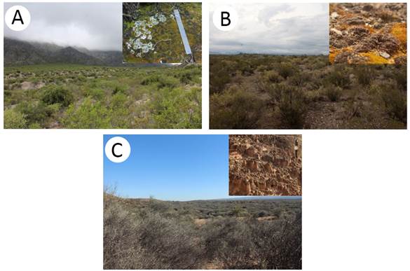 Insights into variations of seasonal and daily soil temperatures under ...