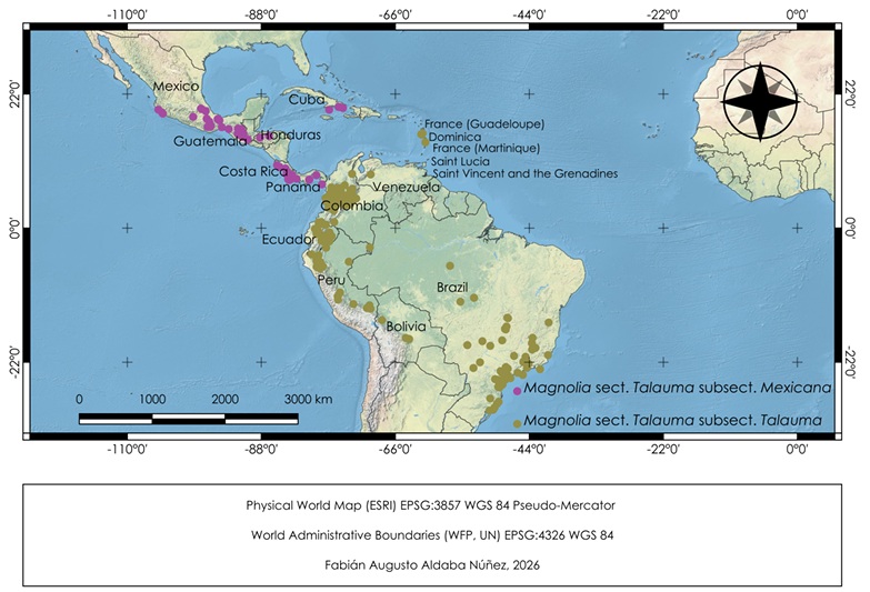 An updated infrageneric classification of Neotropical Magnolia