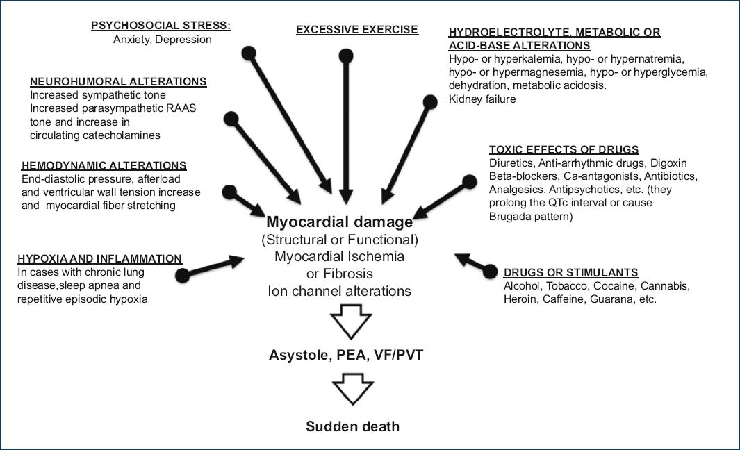 Current behavior of sudden cardiac arrest and sudden death