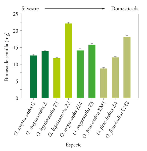 
								Seed biomass (±e.e.) of nine variants of four species of Opuntia collected at Estado de México (EM), Guanajuato (G) and Zacatecas (Z), México (n=50).
							