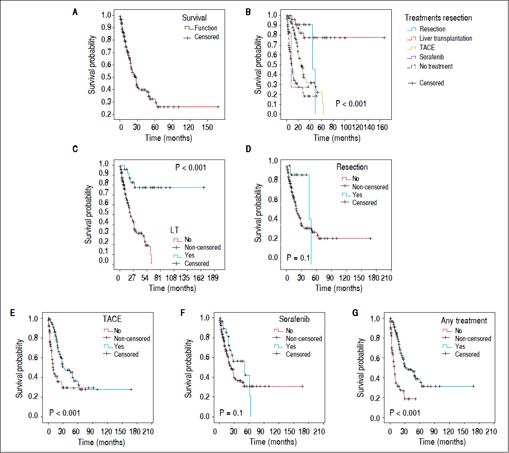 Practical Considerations of Real Life of Hepatocellular Carcinoma in a ...