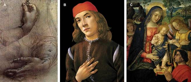 
						Pinturas del renacimiento que representan la flexión de la articulación interfalángica proximal. A) Estudio de manos y brazos, Leonardo Da Vinci (1474). B) Retrato de un joven, Sandro Botticelli (1483). C) Detalle de La Madona de la Paz, Pinturicchio (1490).
					