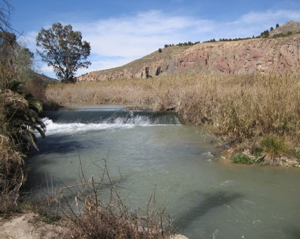 
						Azud del Menjú dam on la Vega Alta of the River Segura (Cieza).
					
