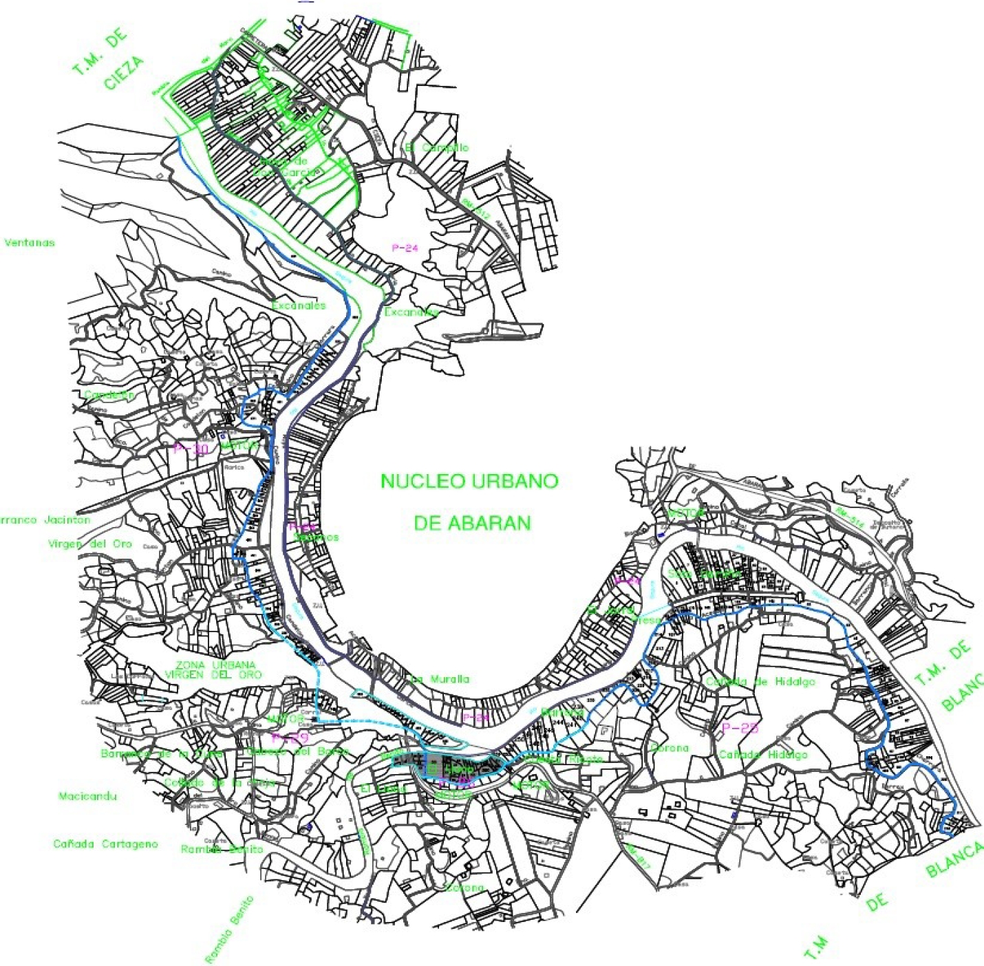 
						Plan showing plots of irrigable land in the Segura river valley in the municipality of Abarán.
					