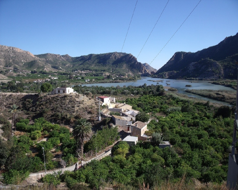 
						Blanca’s low-lying orchard threatened by urban expansion and the Azud de Ojós reservoir.
					