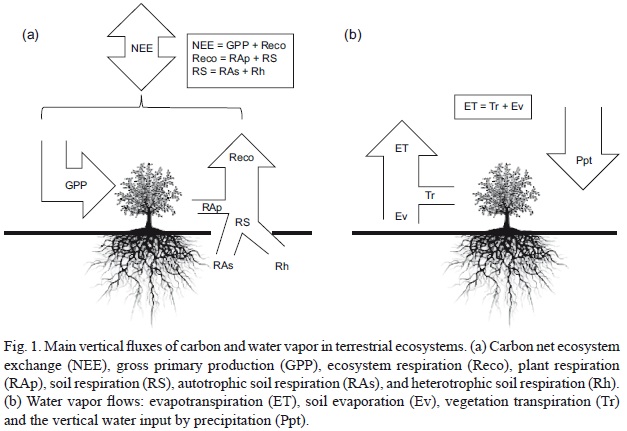 Progress and opportunities for monitoring greenhouse gases fluxes in ...