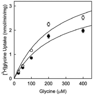 Endogenous expression of the glycine transporter 2 in C6 glioma cells ...
