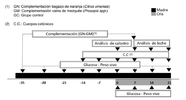 Complementación alimenticia con mezquite y naranja en cabras: efecto ...