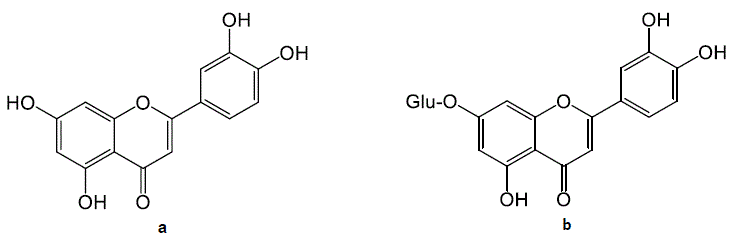 
							Chemical structure of flavonoids identified as major components in EAFSB. (a) luteolin (3′,4′,5,7-tetrahydroxyflavone) and (b) luteoloside (3′,4′,5,7tetrahydroxyflavone-7-O-glucoside) 
						