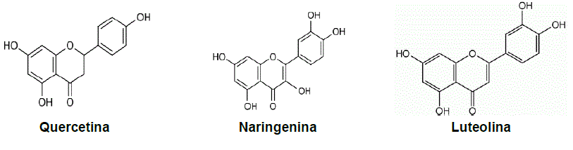
								Flavonoids reported in Lippia graveolens 

							