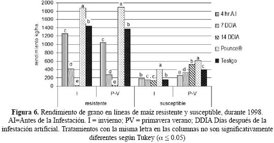 El uso de tierra de diatomeas reduce 80% la incidencia del gusano cogollero  en Puebla – CIMMYT