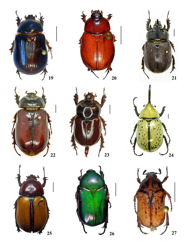 Coleópteros Scarabaeoidea (Insecta: Coleoptera) de Aguascalientes, México