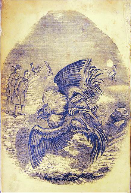 
						Rafael de Rafael (atrib.), sin título, en El Gallo
									Pitagórico (Imprenta de Ignacio Cumplido, 1845).
								Grabado en madera.
					