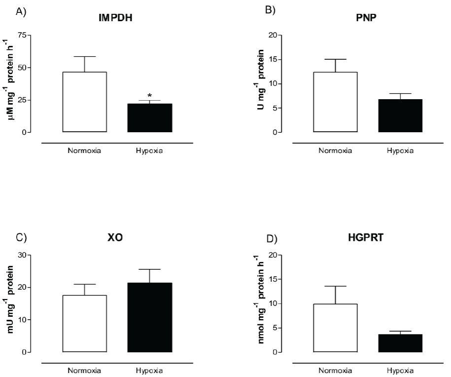 Effect of hypoxia on purine metabolism in human skeletal muscle cells