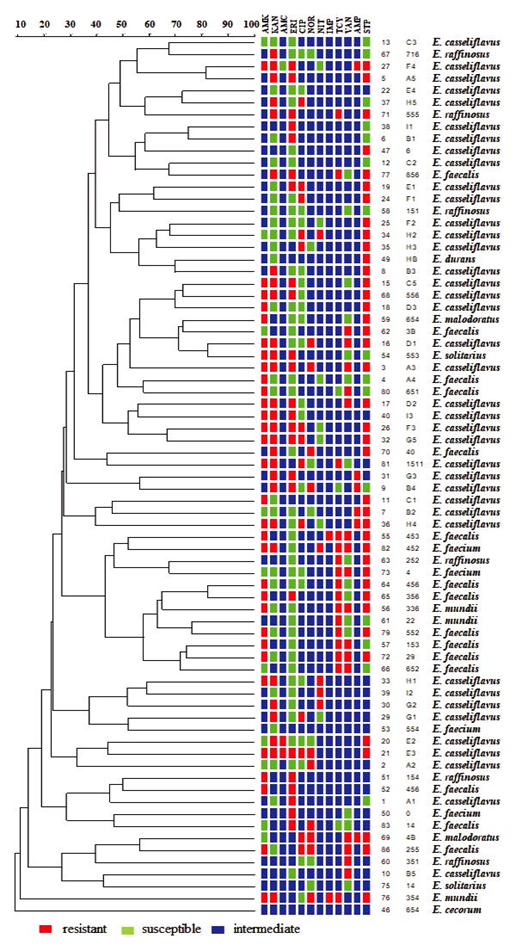 Evaluation of antimicrobial susceptibility and genetic profiles (ERIC ...
