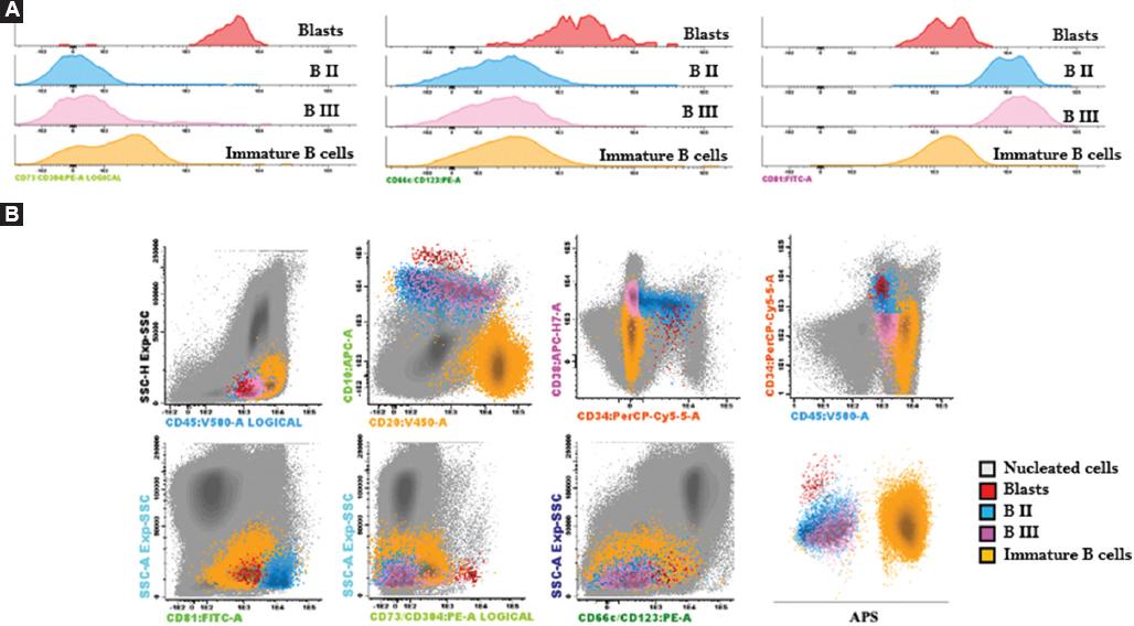 Molecular and cellular markers for measurable residual disease in acute ...