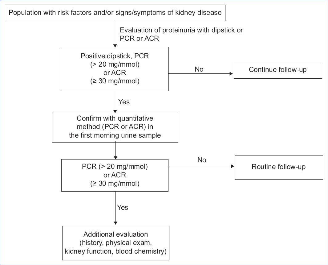 Diagnostic approach and monitoring of chronic kidney disease in the ...