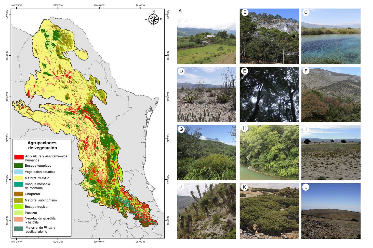 Diversidad de plantas vasculares de la Provincia Fisiográfica de la