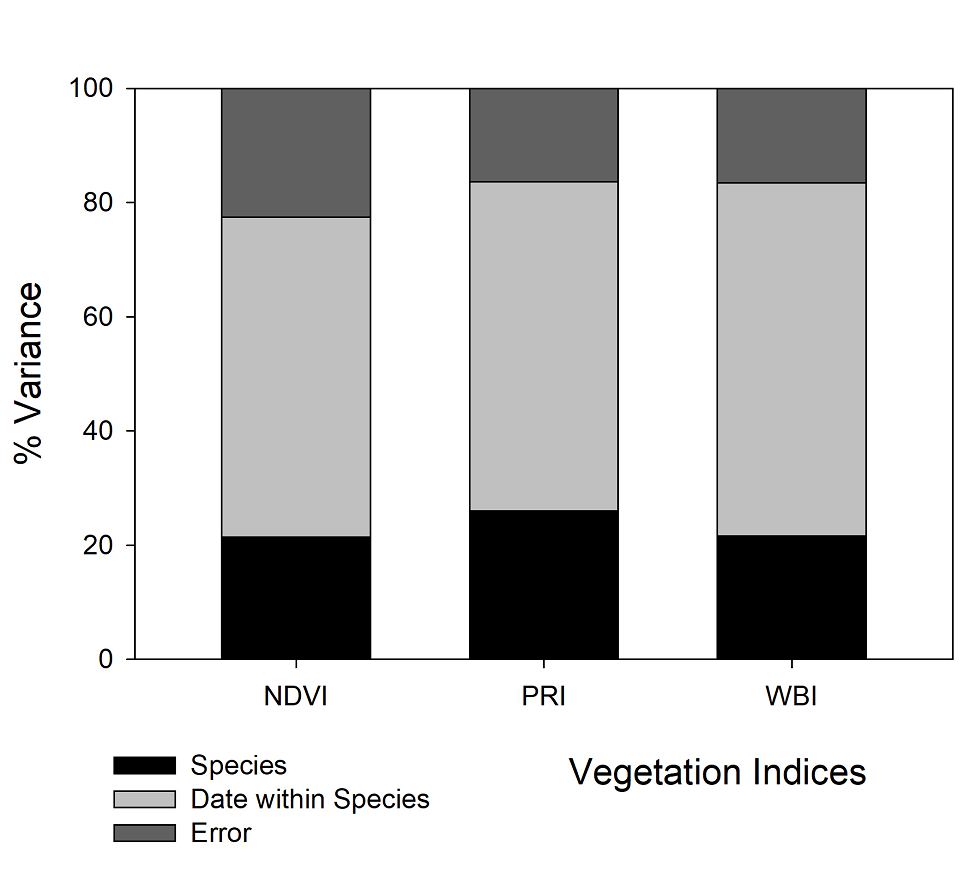 Intra and interspecific variation in foliage phenology and leaf ...