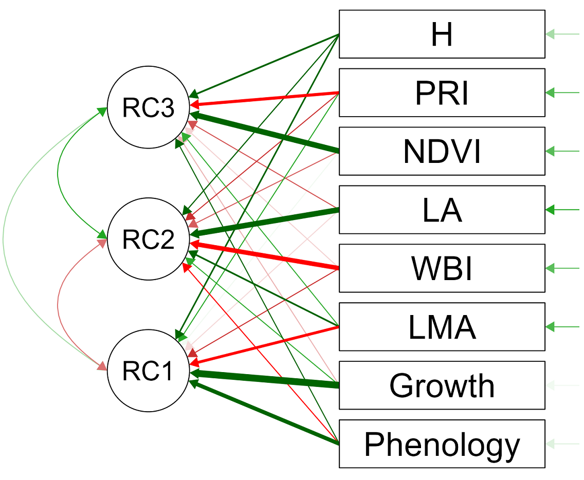 Intra and interspecific variation in foliage phenology and leaf ...