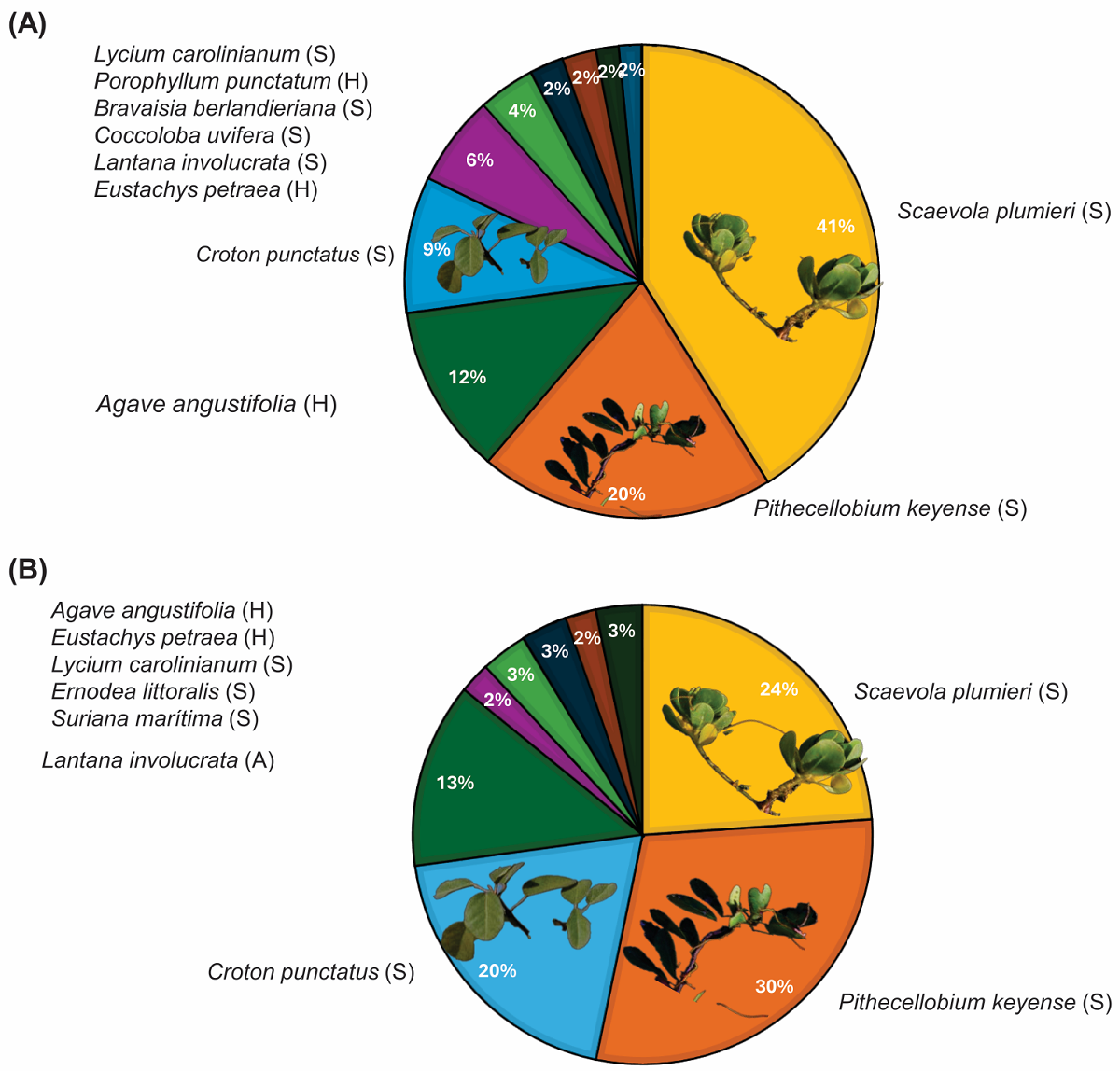 Host preference and physiological performance of the invasive ...
