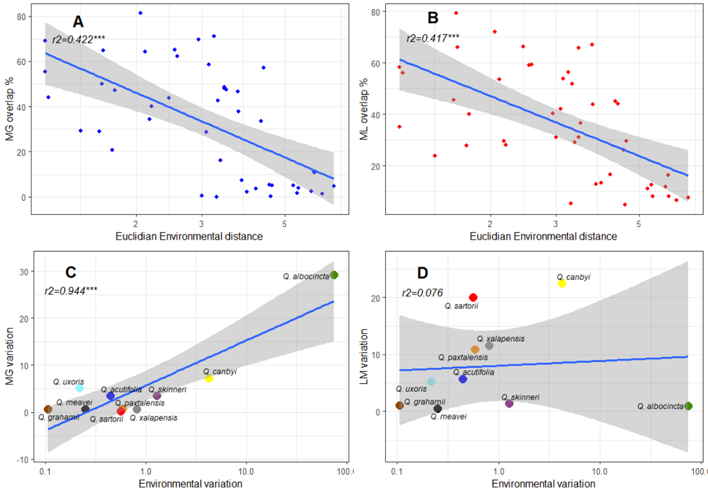 The effects of environmental heterogeneity on the morphological ...
