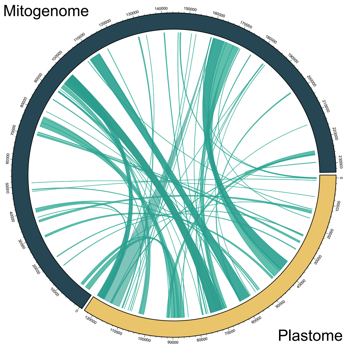 The complete mitochondrial genome of the hemiparasitic mistletoe ...