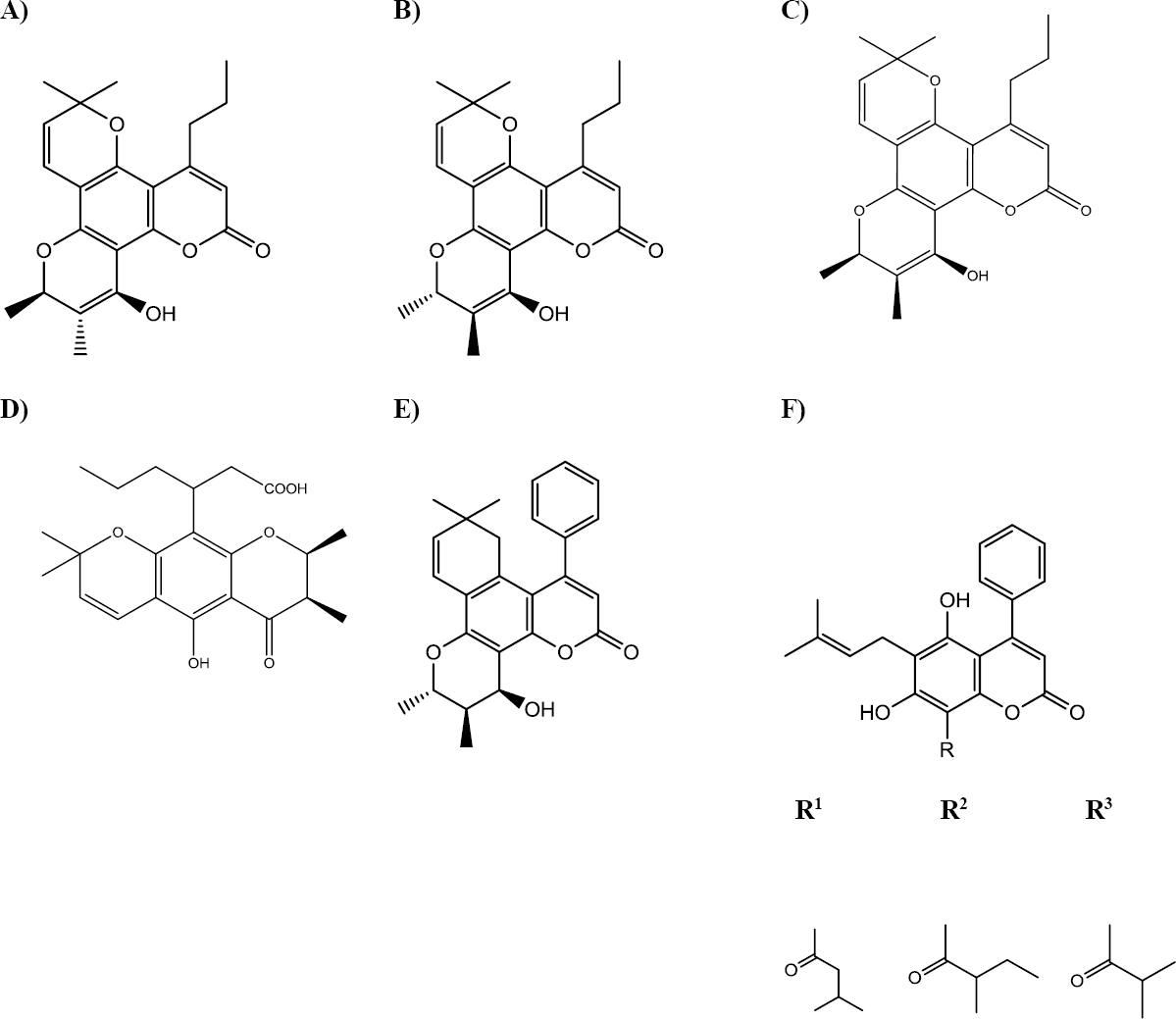 The biosynthesis of pharmacologically active compounds in Calophyllum ...