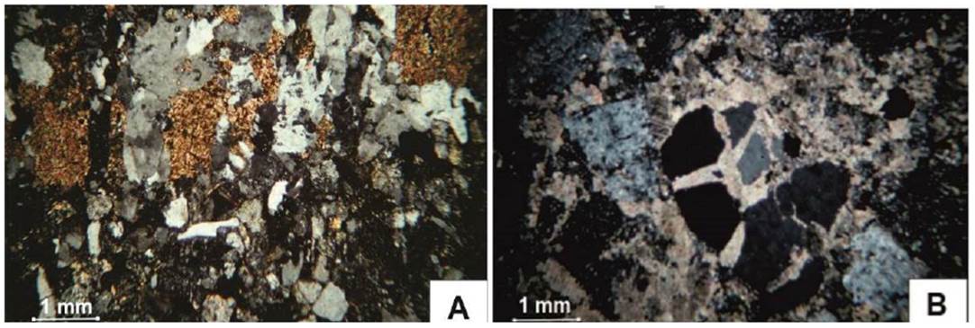 Lithostratigraphy, lithofacies and deposition conditions of the late ...