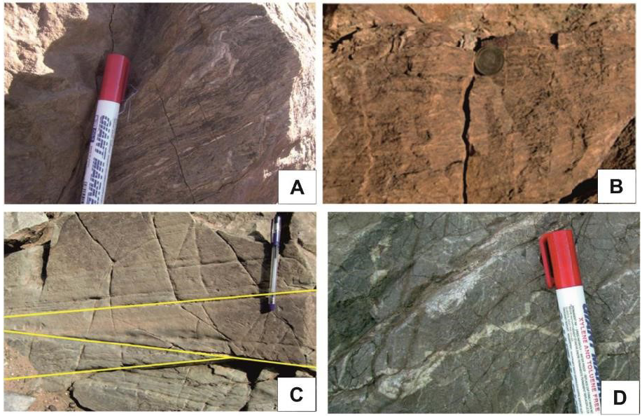 Lithostratigraphy, lithofacies and deposition conditions of the late ...
