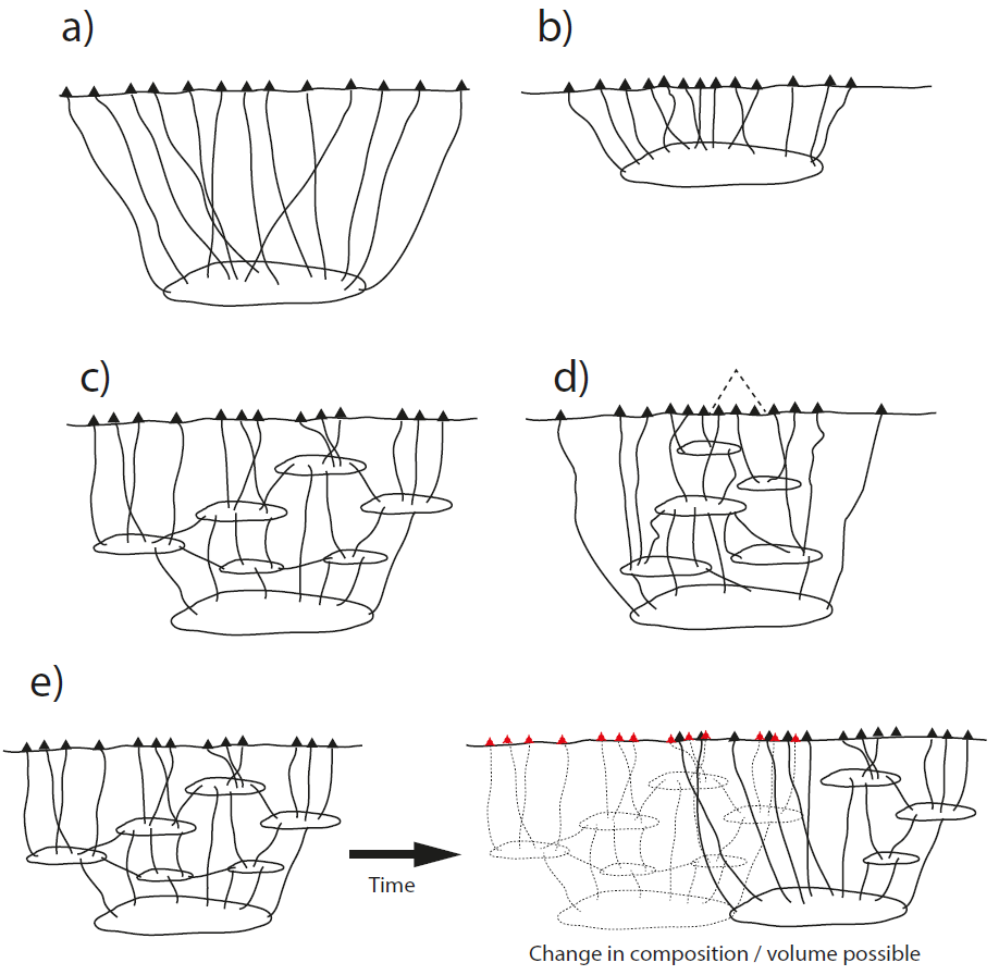 Geological significance of the spatial clustering and alignment of ...