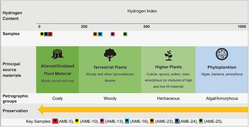 Sources of organic matter elucidated through Pyr-GC-MS, and relation to ...