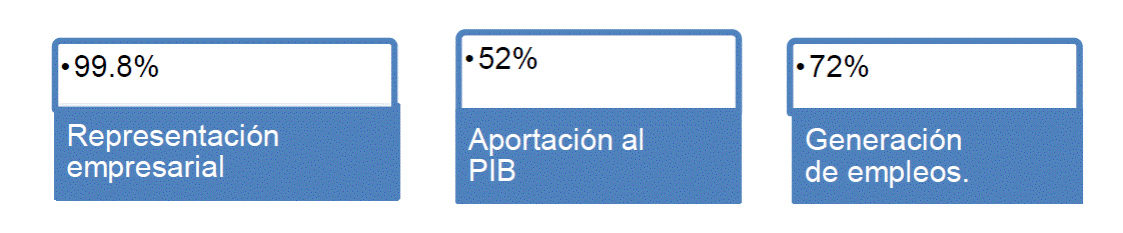
						Representación empresarial, aportación al producto interno bruto y
							generación de empleos.
					