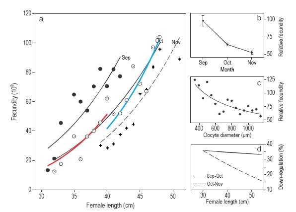 Fecundity of Sebastes mentella and Sebastes norvegicus in the Irminger ...