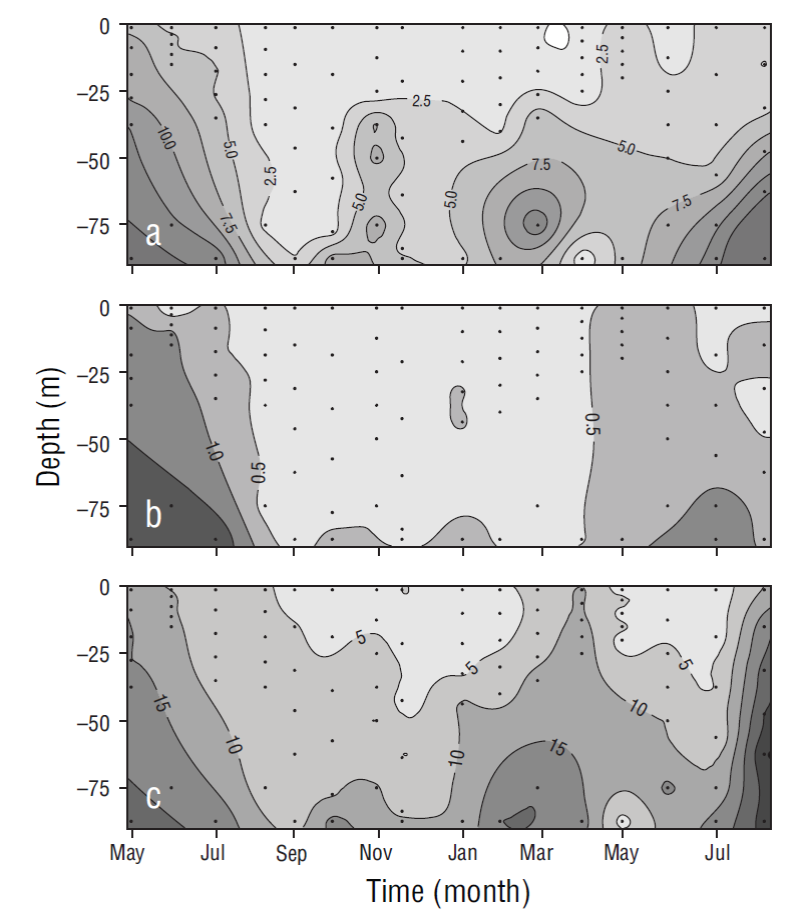 Temporal variability of phytoplankton biomass and primary production ...