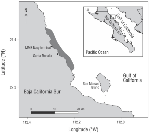 Feeding habits of the snapper Lutjanus peru in the central Gulf of ...