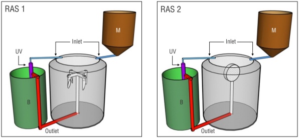 Octangle Ras System Effect of the water exchange system on the development, survival, and ...