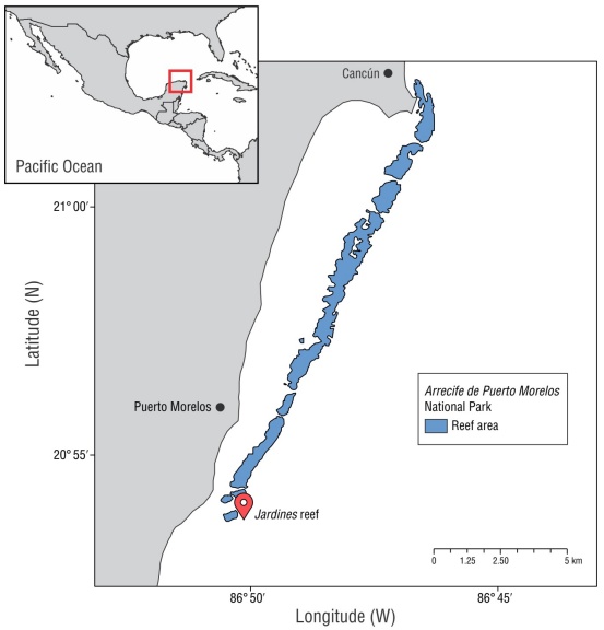 
							Map of Arrecife de Puerto Morelos National Park
								(APMNP), Mexico. The marker indicates the study site.
						
