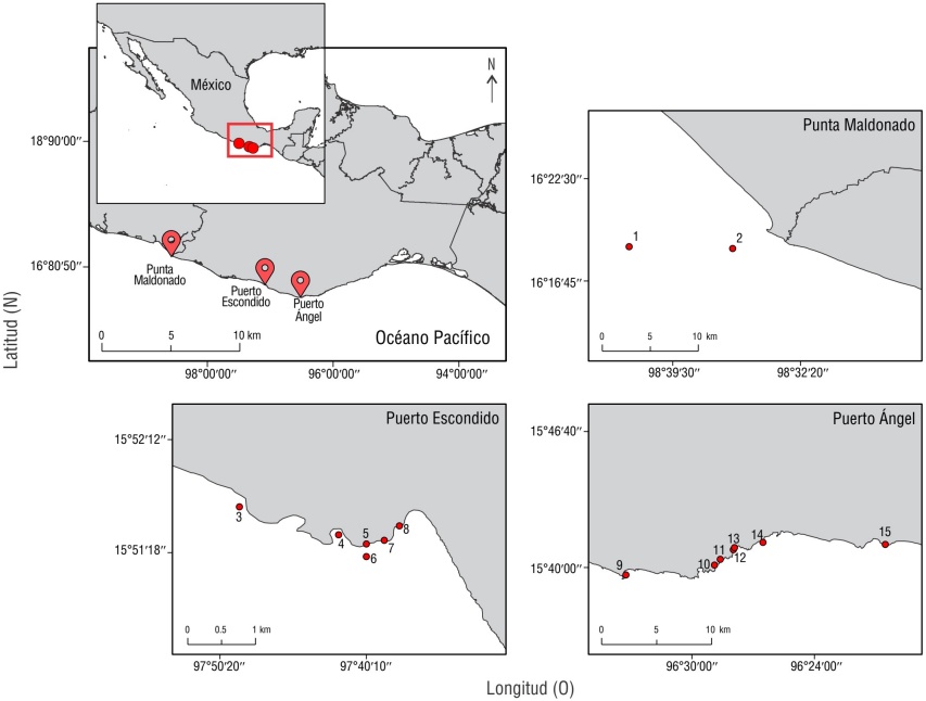 
							Mapa de los sitios de muestreo en la región del sur del Pacífico mexicano (SPM). Los marcadores rojos denotan las áreas de estudio de Punta Maldonado, Puerto Escondido y Puerto Ángel. Los puntos rojos denotan los sitios de muestreo con sistemas coralinos: 1 (Las 24), 2 (Altura Baja), 3 (Bachoco), 4 (Carrizalillo), 5 (Puerto Angelito), 6 (El Faro), 7 (Zapatito), 8 (Puerto Escondido), 9 (Mazunte), 10 (Playa del Muerto), 11 (Estacahuite), 12 (La Mina), 13 (Boquilla), 14 (Tijera) y 15 (Salchi).
						
