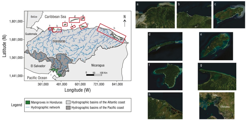 
							Distribution of mangroves in 7 locations along the Pacific coast
								of Honduras (PCH) and the Atlantic coast of Honduras (ACH): Cortés
									(a), Atlántida (b), Útila
									(c), Roatán (d), Guanaja
									(e), Cayos Cochinos (f), Colón
									(g), Gracias a Dios (h), and Gulf of
								Fonseca (i) (Monserrate
									2017).
						