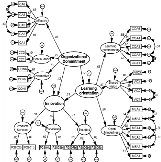 The influence of organizational commitment and learning orientation on ...