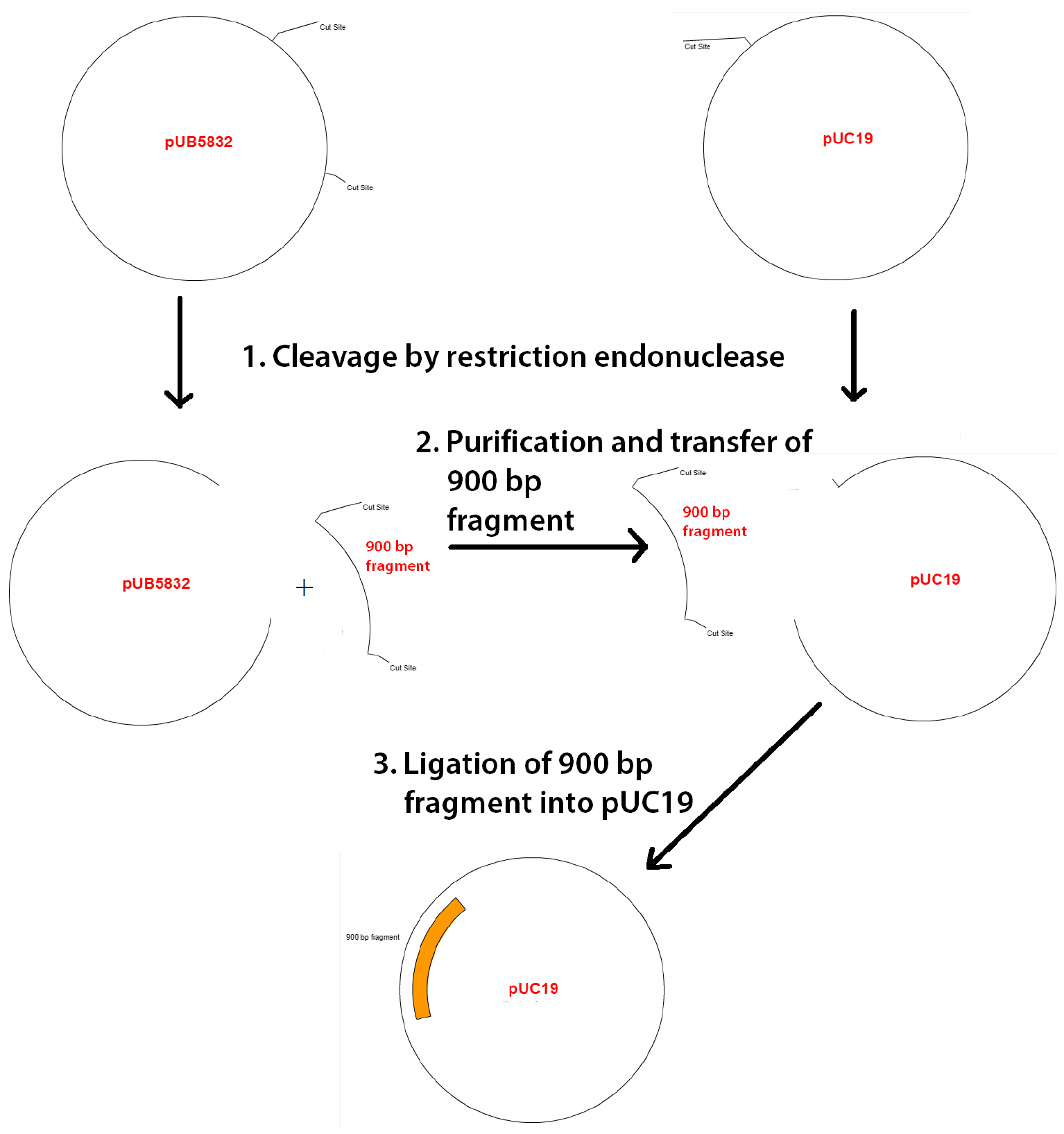 Ontological Knowledge for Rhetorical Move Analysis