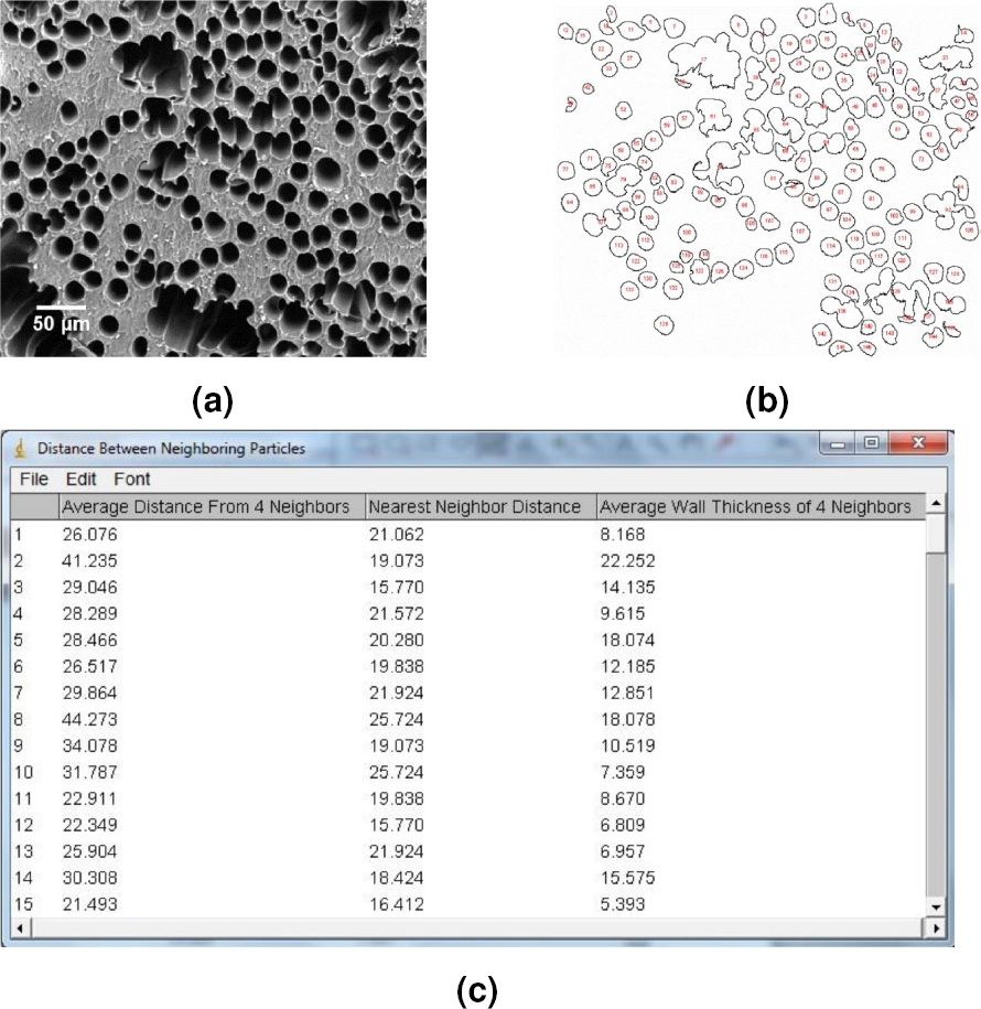 Review of Image Analysis for the Characterization of Vertically Aligned ...