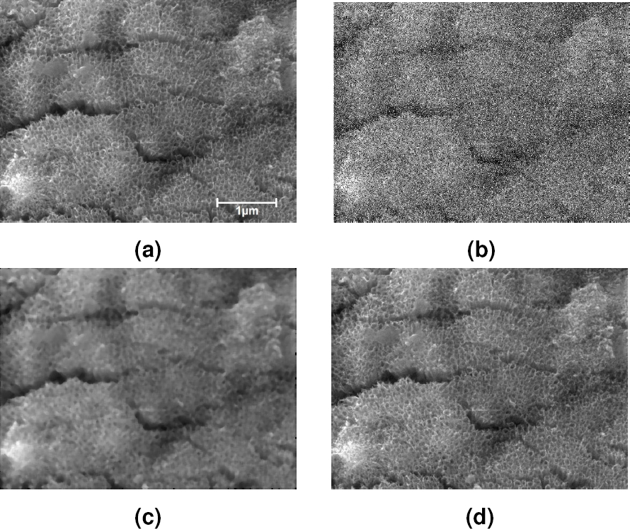 Review of Image Analysis for the Characterization of Vertically Aligned ...