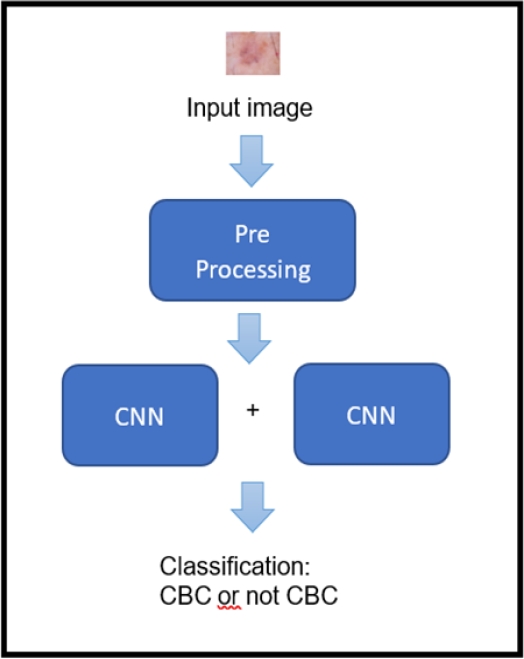 Hybrid Model of Convolutional Neural Network and Support Vector Machine ...
