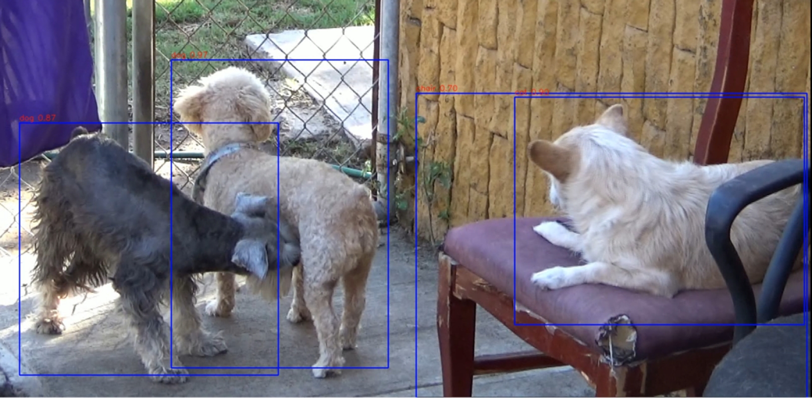 Visual Processing Dog Classification of Domestic Dogs Emotional Behavior Using Computer Vision