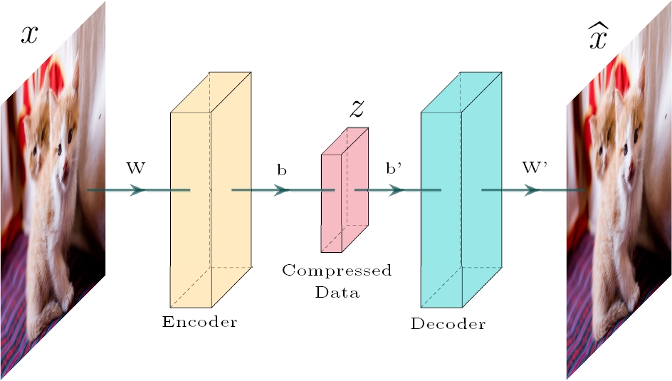Atrial Fibrillation Classification Using a Deep Spectral Autoencoder