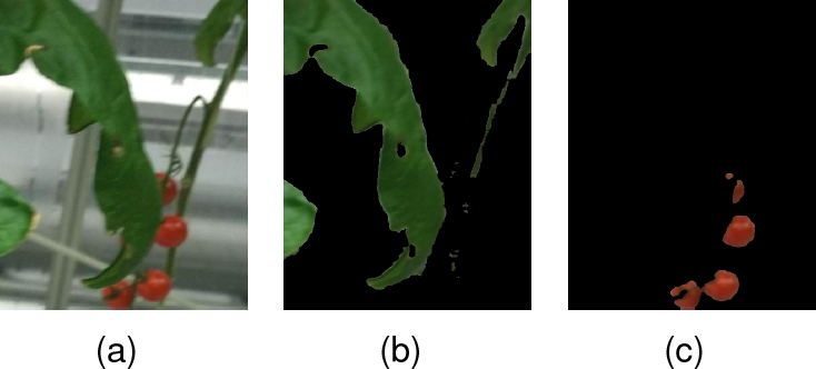 A Greedy Algorithm for Highlighting of Color Dominance in Tomato Leaves ...